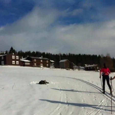 Hotell Nordpå Fjellhotell As Haltdalen