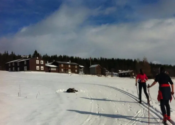 Hotel Nordpa Fjellhotell As Haltdalen